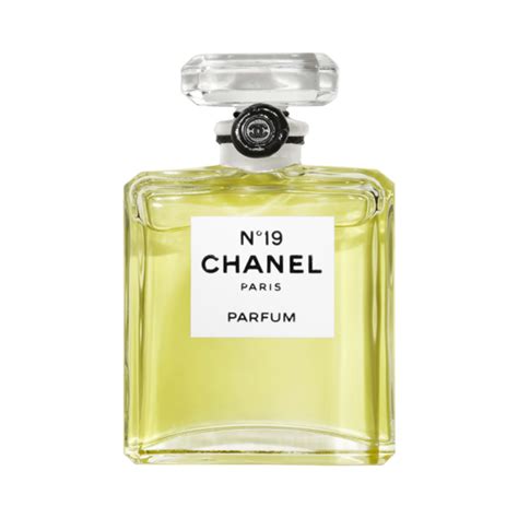 chanel parfum 19|chanel 19 perfume price.